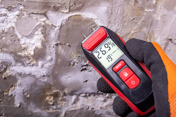 Best Residential Mold Remediation in Walker, MI