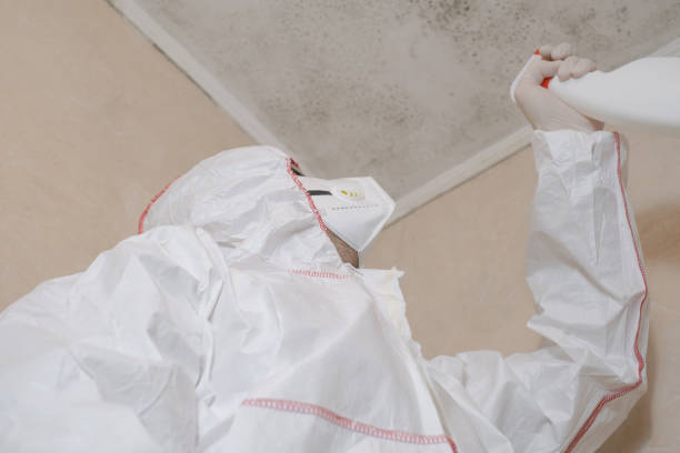 Best Industrial Mold Remediation in Walker, MI